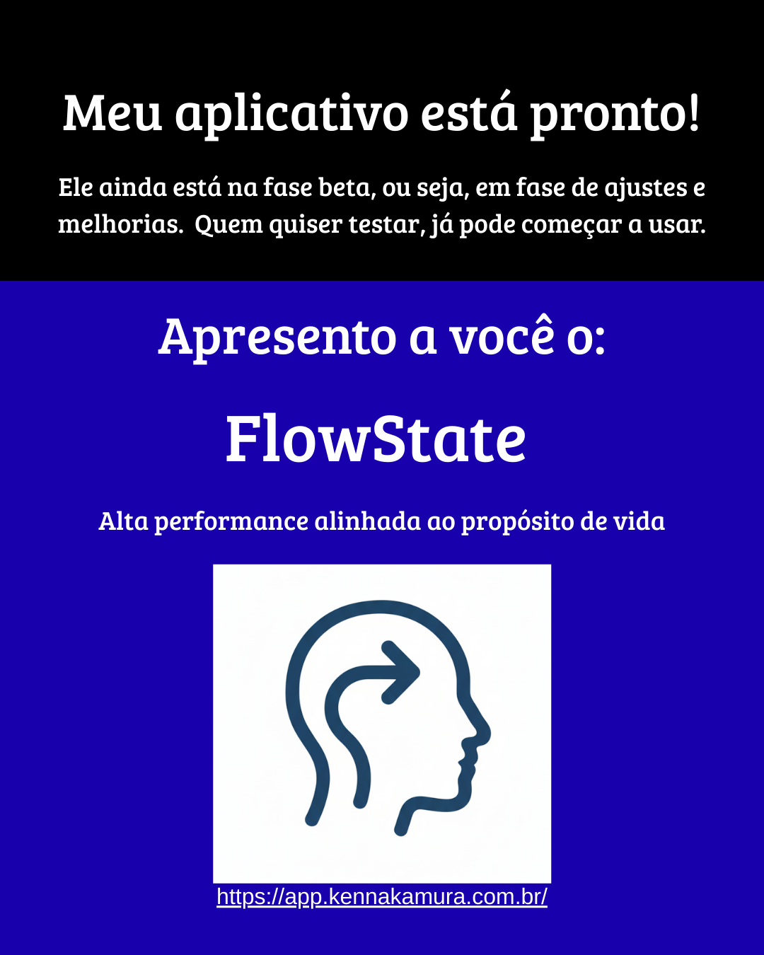 FlowState preview 1